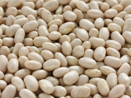 BULK BEANS NAVY ORGANIC PER LBS   917 Online Hot Sale