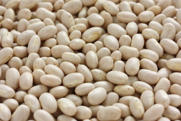 BULK BEANS NAVY ORGANIC PER LBS   917 Online Hot Sale