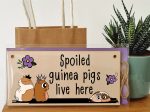 Handmade Wooden Hanging Wall Plaque Spoiled Guinea Pigs Live Here Pet Lover Mum Dad Cute Gift Sign on Sale