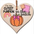 Cutest Pumpkin Patch Baby Girl Cute Autumn Seasonal Hanging Heart Wooden Decoration Gift Card Alternative New Baby Nursery Discount