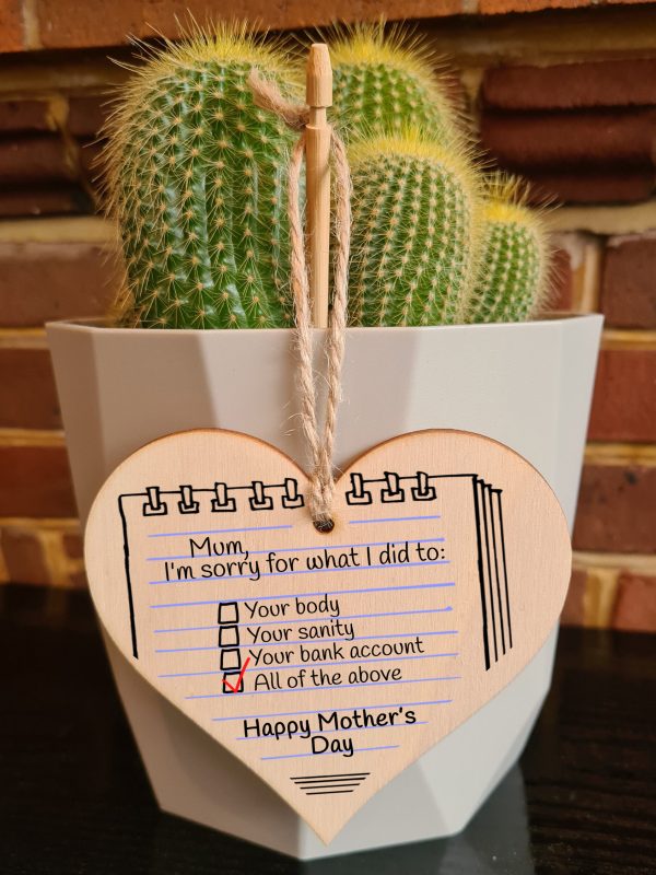 Handmade Wooden Hanging Heart Plaque Mother s Day Gift Mum I m Sorry for what I did to your body bank account novelty funny keepsake from daughter son kids wall hanger card alternative For Discount