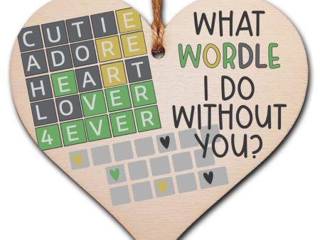 Handmade Wooden Hanging Heart Plaque Gift What Would I Do Without You Wordle Funny Cute Play on Words For Cheap