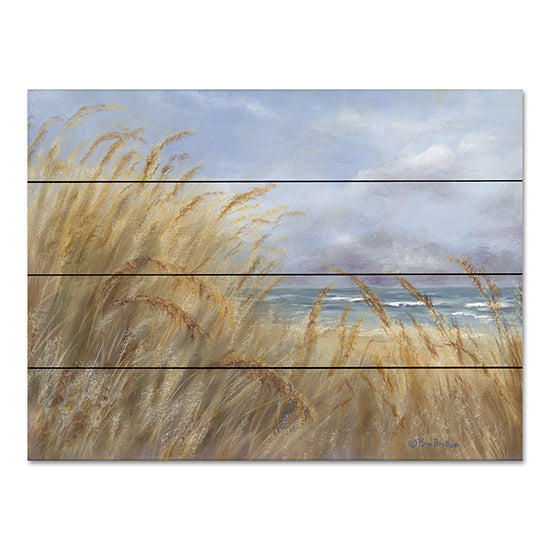 BR552PAL - Windy Day at the Shore     - 16x12 For Cheap