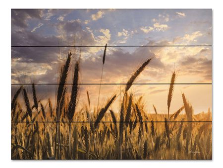 LD2811PAL - Summer Field - 16x12 Online now