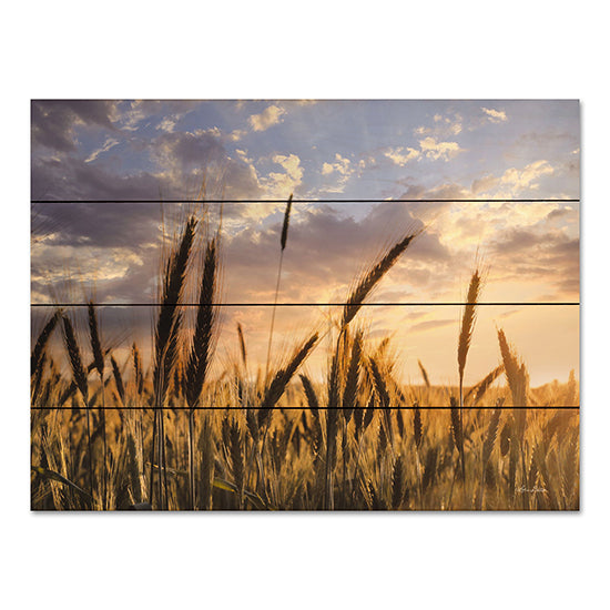 LD2811PAL - Summer Field - 16x12 Online now