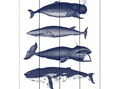 LET564PAL - Whales - 12x16 Hot on Sale