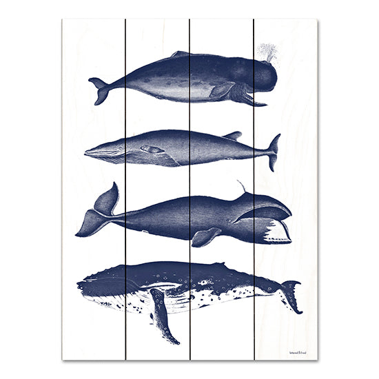 LET564PAL - Whales - 12x16 Hot on Sale