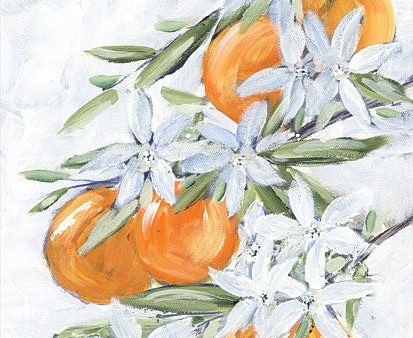 REAR387 - Orange Blossoms - 16x12 For Discount