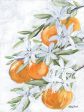 REAR387 - Orange Blossoms - 16x12 For Discount