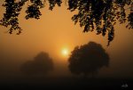 MPP836 - Foggy Sunrise - 18x12 Hot on Sale