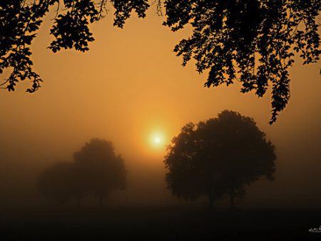 MPP836 - Foggy Sunrise - 18x12 Hot on Sale