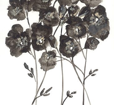 REAR402 - Dark Poppies I - 12x18 Online now