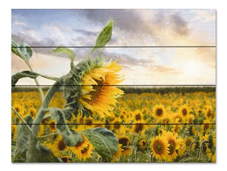 LD2950PAL - Sunflower Sunrise - 16x12 Fashion