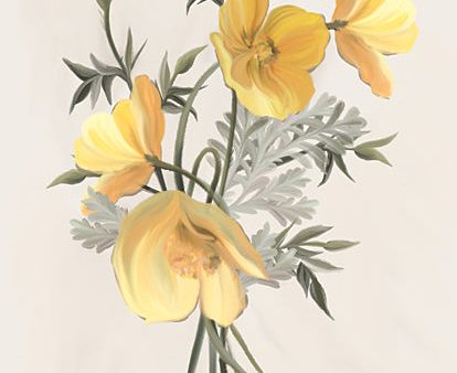 FEN805 - Wild Yellow Poppies - 12x16 Supply