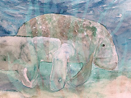 SDS1081 - Mother Manatee and Calf   - 16x12 Online