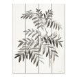 LET550PAL - Leaf Illustration I - 12x16 Discount