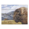 BR551PAL - Yellowstone Kings    - 16x12 Online now