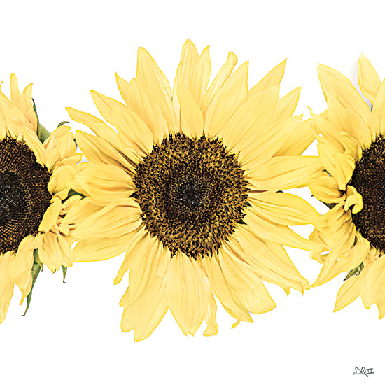 DQ286 - Sunflowers in a Row I - 12x12 Cheap