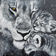 BHAR574 - Lioness - 12x12 Sale