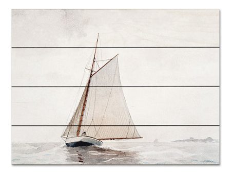 LET559PAL - Sailing Excursion - 16x12 Online Sale